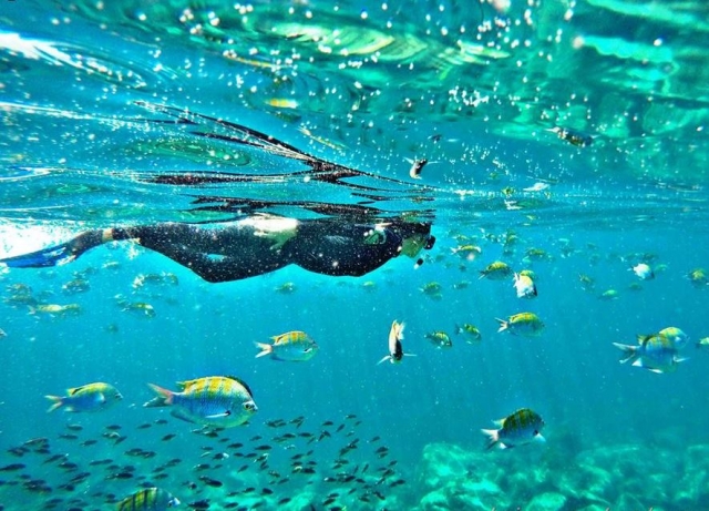 Snorkeling Isla Espiritu Santo